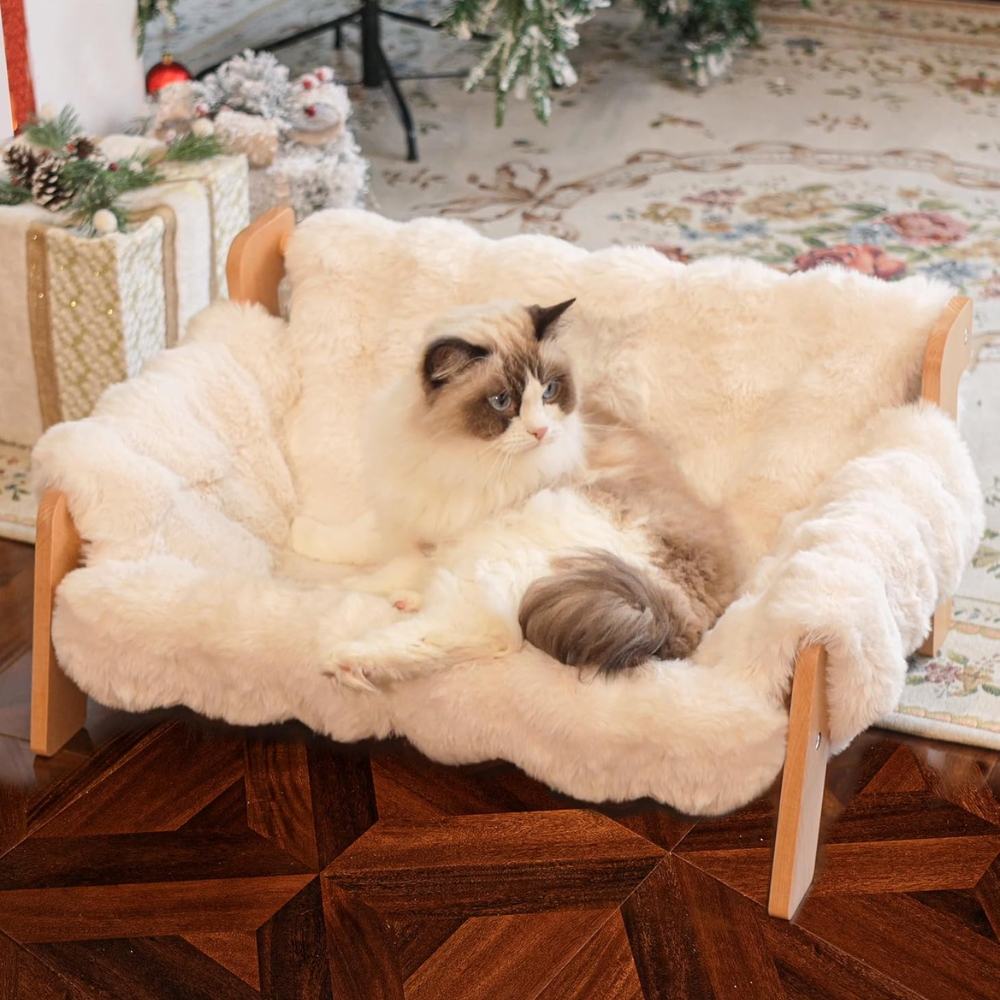 Beds & Comfort