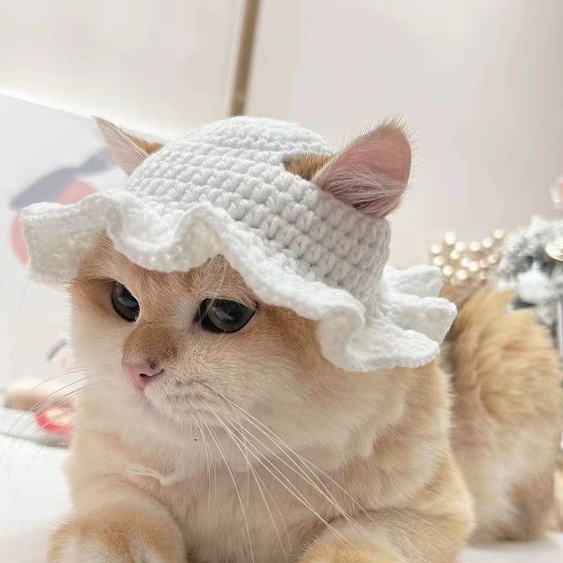 Cat Products
